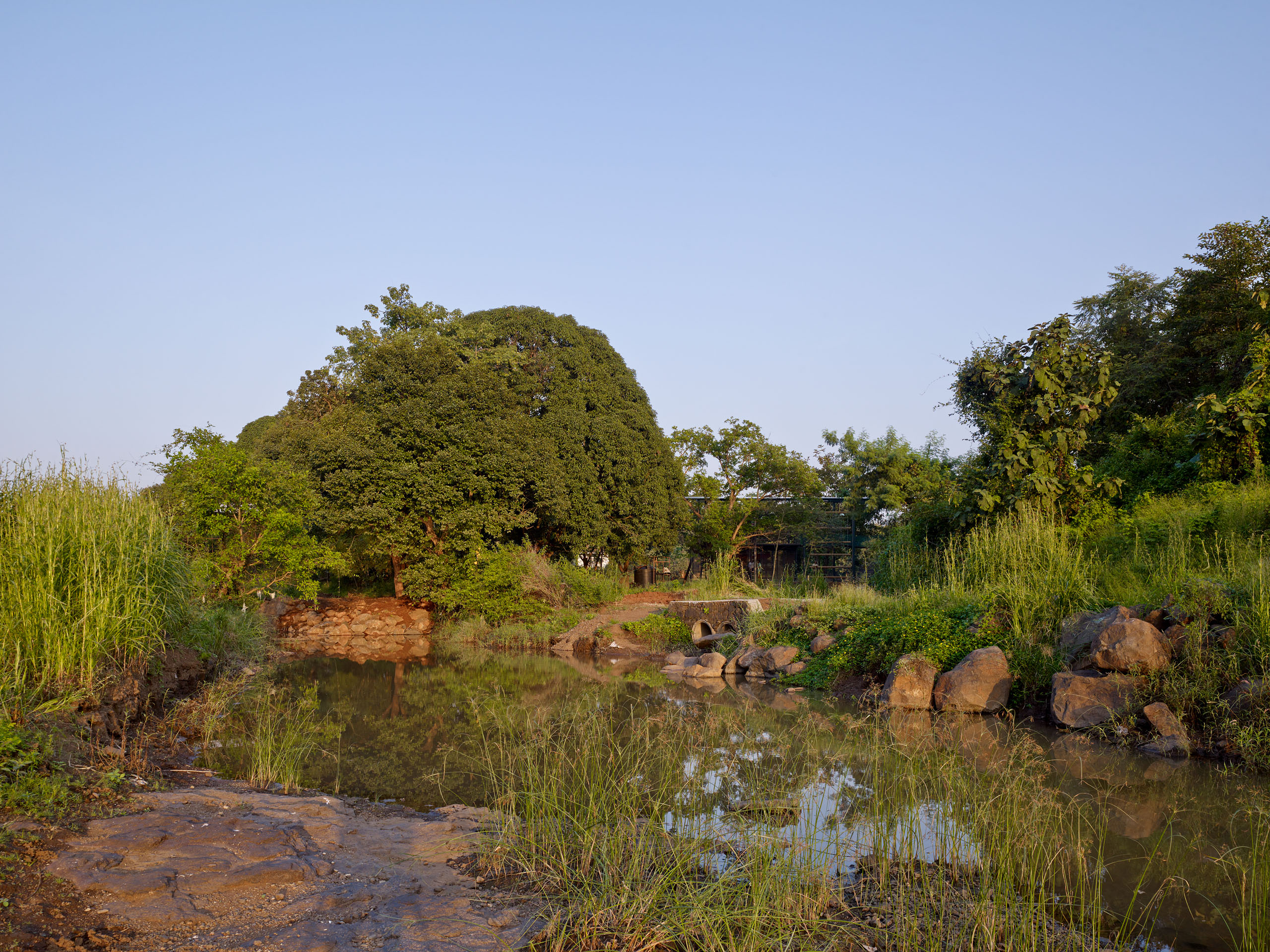 E13461 Alpa 040963 j2560